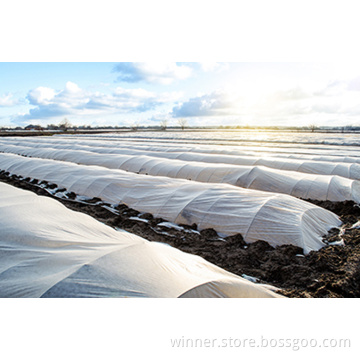 Non Woven Plant Frost/Freeze Protection Fabric